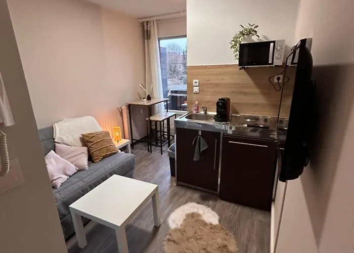 Cosy Studio Neuf Avec Balcon